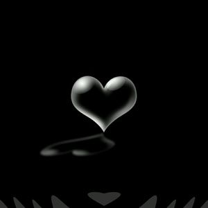 Meet your Posher, La tania